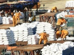 Dịch Vụ Bốc Vác Hàng Hóa Uy Tín Chuyên Nghiệp