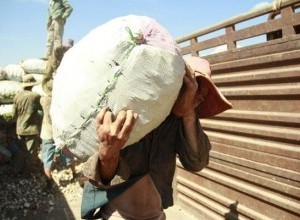 Dịch vụ bốc vác hàng hóa Phường Cầu Giấy