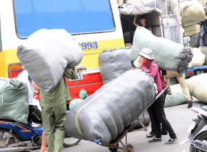 Dịch vụ cửu vạn Phường Tây Hồ